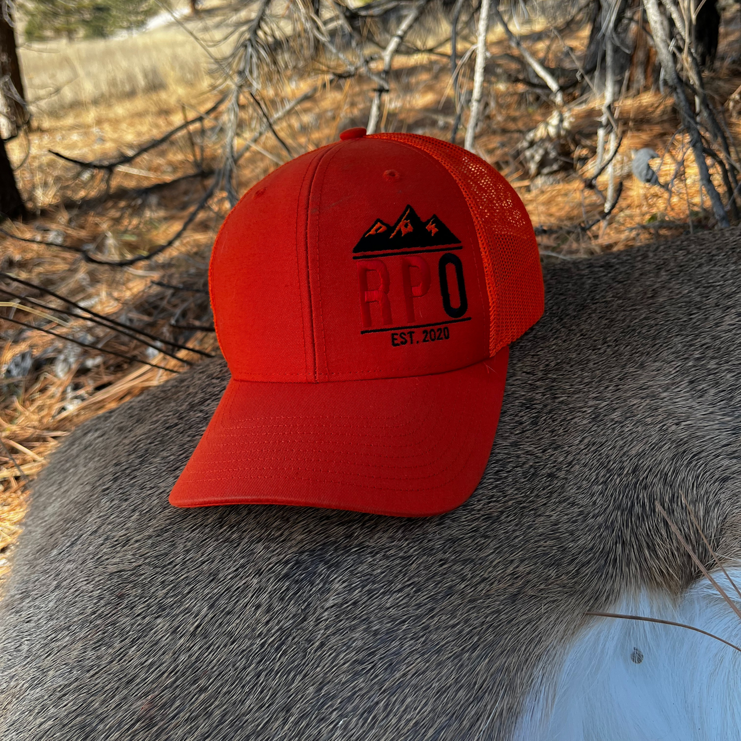RPO Logo Cap - Various colors